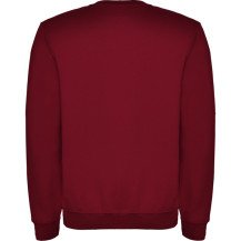 Sudadera Roly Clásica SU1070 Infantil DTF | Sublimartia
