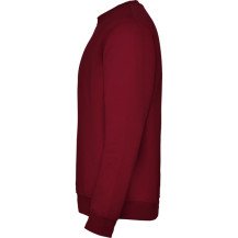 Sudadera Roly Clásica SU1070 Infantil DTF | Sublimartia