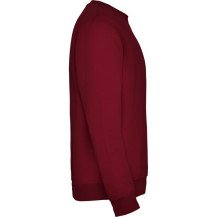 Sudadera Roly Clásica SU1070 Infantil DTF | Sublimartia
