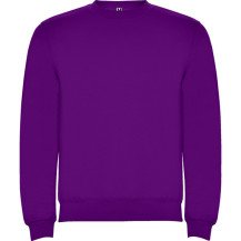 Sudadera Roly Clásica SU1070 Infantil DTF | Sublimartia