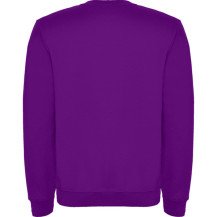 Sudadera Roly Clásica SU1070 Infantil DTF | Sublimartia