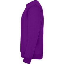 Sudadera Roly Clásica SU1070 Infantil DTF | Sublimartia