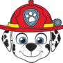 Kids PAW Patrol Large Marshall Character T-Shirt